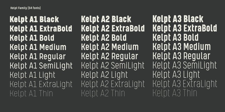 Przykład czcionki Kelpt A2 Semi Light Italic